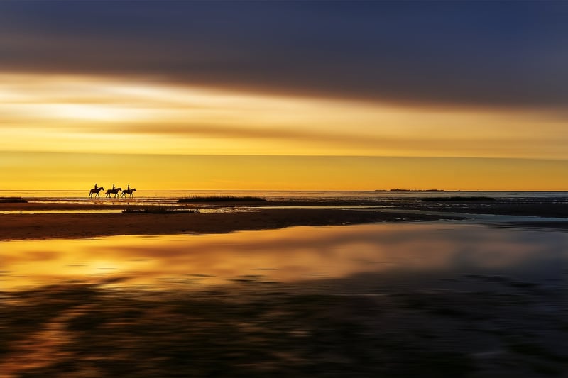 Horseback Riding